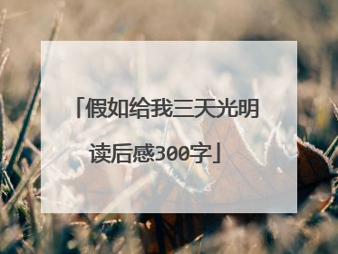 假如给我三天光明读后感300字