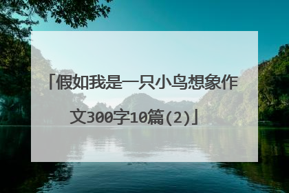 假如我是一只小鸟想象作文300字10篇(2)