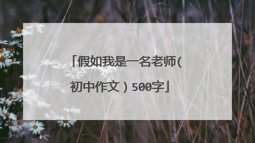 假如我是一名老师(初中作文)500字