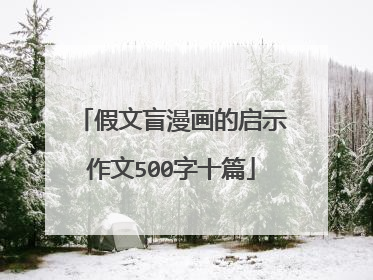 假文盲漫画的启示作文500字十篇