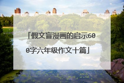 假文盲漫画的启示600字六年级作文十篇