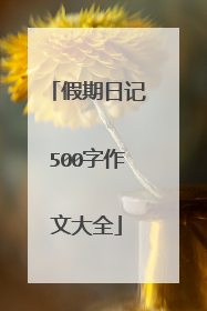 假期日记500字作文大全
