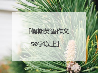 假期英语作文50字以上