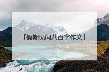 假期见闻八百字作文