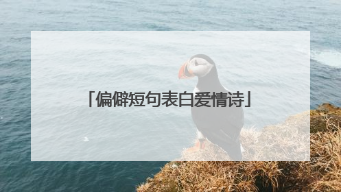 偏僻短句表白爱情诗