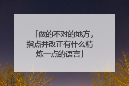 做的不对的地方,指点并改正有什么精炼一点的语言