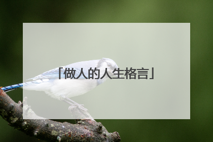 做人的人生格言