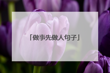 做事先做人句子