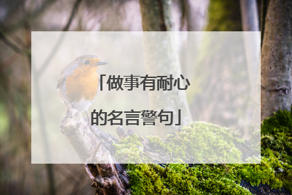 做事有耐心的名言警句