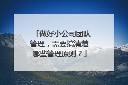 做好小公司团队管理,需要搞清楚哪些管理原则?