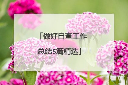 做好自查工作总结5篇精选
