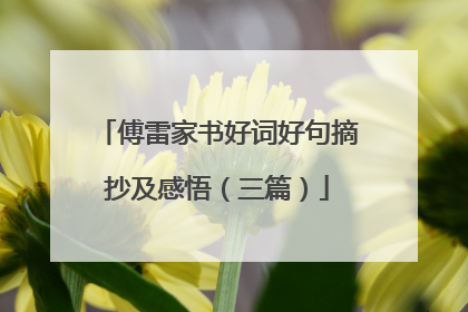 傅雷家书好词好句摘抄及感悟(三篇)