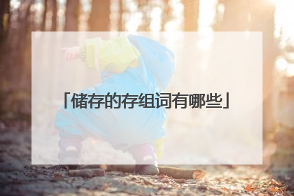 储存的存组词有哪些