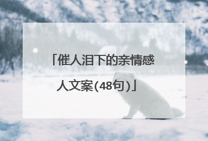催人泪下的亲情感人文案(48句)