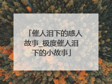 催人泪下的感人故事_极度催人泪下的小故事