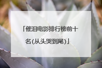 催泪电影排行榜前十名(从头哭到尾)