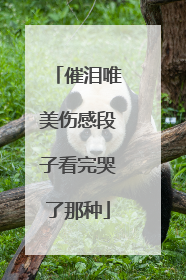 催泪唯美伤感段子看完哭了那种
