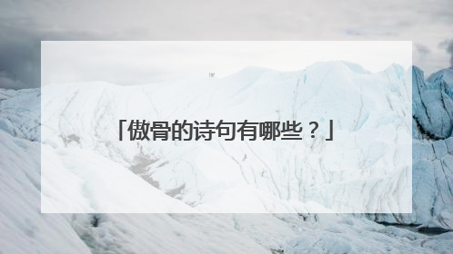 傲骨的诗句有哪些？