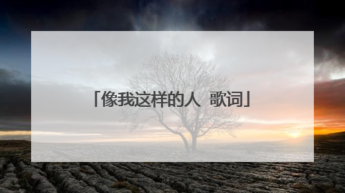 像我这样的人 歌词