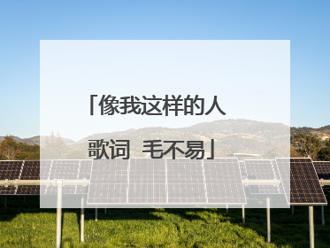 像我这样的人 歌词 毛不易