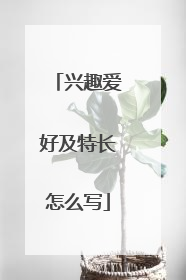 兴趣爱好及特长怎么写