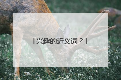 兴趣的近义词？