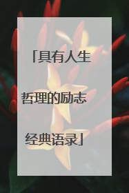 具有人生哲理的励志经典语录