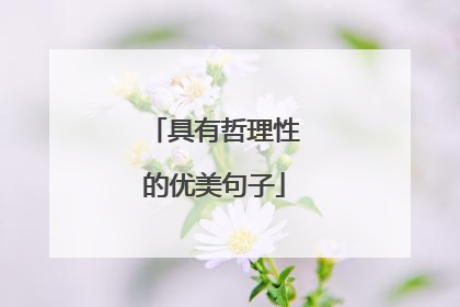 具有哲理性的优美句子