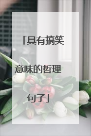 具有搞笑意味的哲理句子