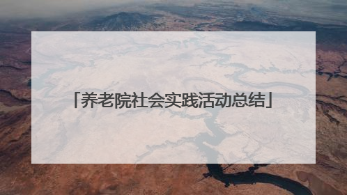 养老院社会实践活动总结