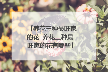 养花三种最旺家的花 养花三种最旺家的花有哪些