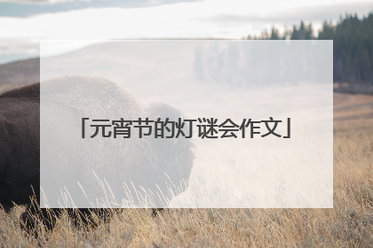 元宵节的灯谜会作文