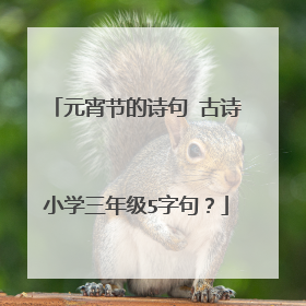 元宵节的诗句 古诗小学三年级5字句？