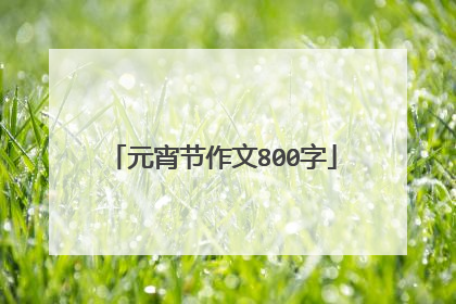 元宵节作文800字
