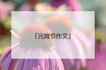 元宵节作文