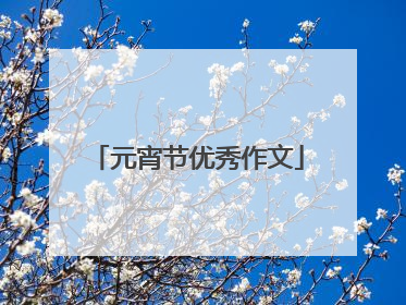 元宵节优秀作文