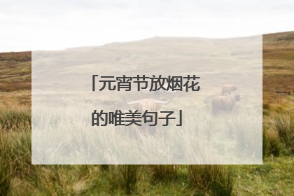 元宵节放烟花的唯美句子