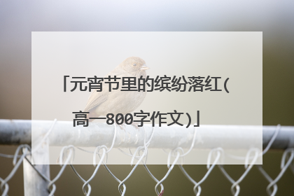 元宵节里的缤纷落红(高一800字作文)