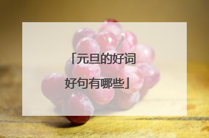 元旦的好词好句有哪些