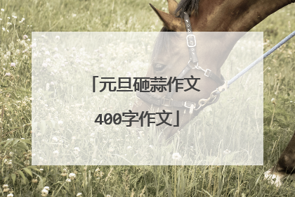 元旦砸蒜作文400字作文