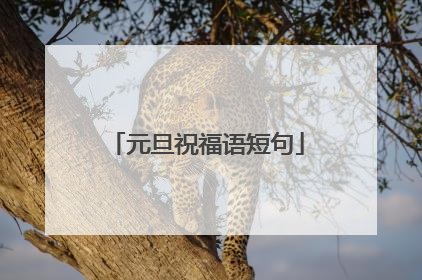 元旦祝福语短句