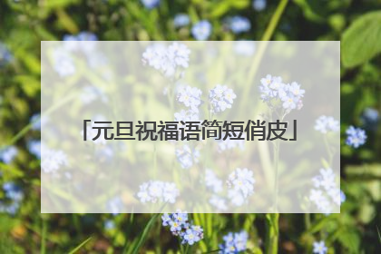 元旦祝福语简短俏皮