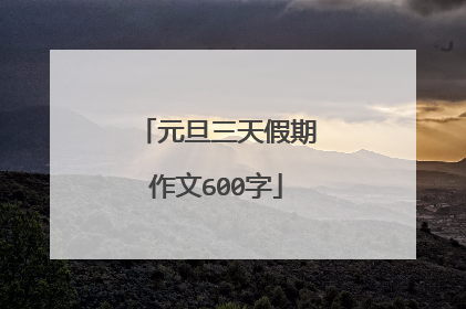 元旦三天假期作文600字