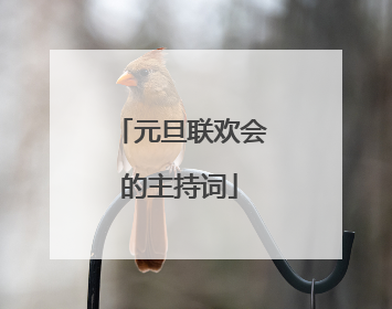 元旦联欢会的主持词