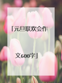 元旦联欢会作文600字