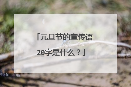 元旦节的宣传语20字是什么?