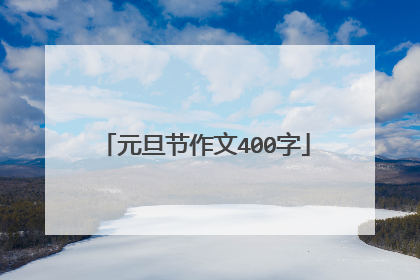 元旦节作文400字