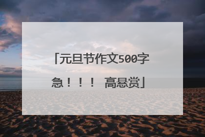 元旦节作文500字 急!!! 高悬赏