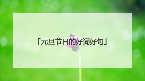 元旦节日的好词好句