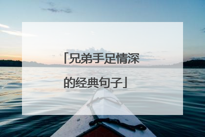 兄弟手足情深的经典句子